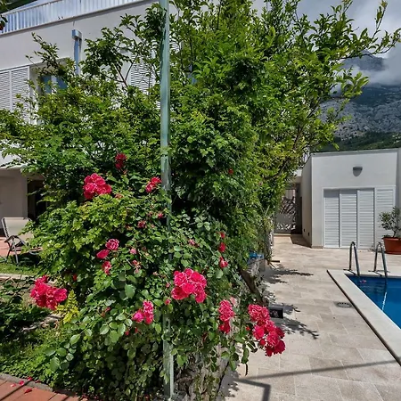 Lägenhet Mediteraneo Makarska